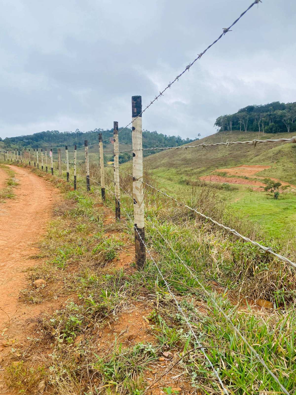Sítio à venda - ,Ewbank da Câmara